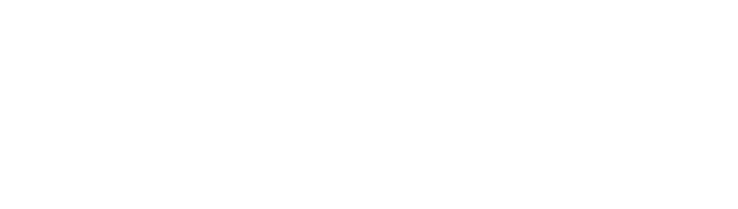 Auckland Airport
